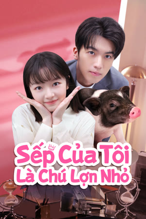 Sếp Của Tôi Là Chú Lợn Nhỏ | My Piggy Boss (2024)